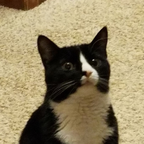 fuzzycalskittle